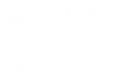 The Voice of Germany Logo
